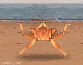crab jumping